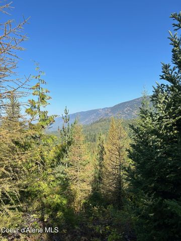 NKA Tract 6 USFS 2294, Clark Fork, ID 83811