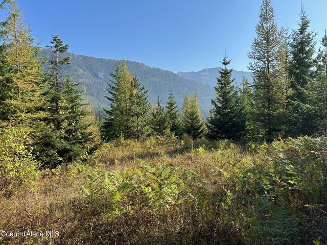 NKA Tract 6 USFS 2294, Clark Fork, ID 83811