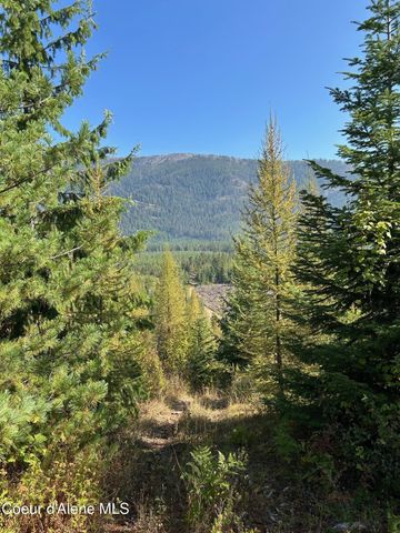 NKA Tract 6 USFS 2294, Clark Fork, ID 83811