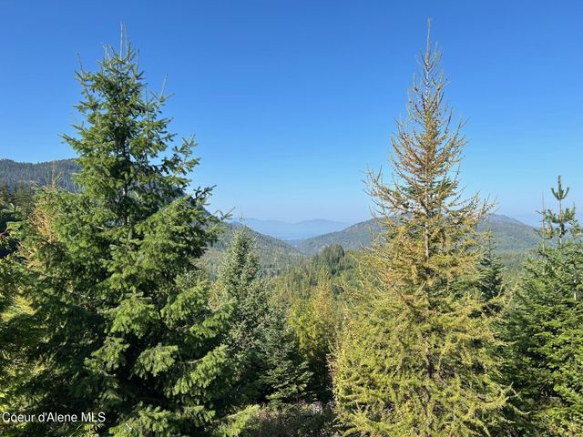 NKA Tract 6 USFS 2294, Clark Fork, ID 83811