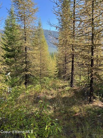 NKA Tract 6 USFS 2294, Clark Fork, ID 83811