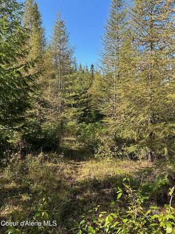 NKA Tract 6 USFS 2294, Clark Fork, ID 83811