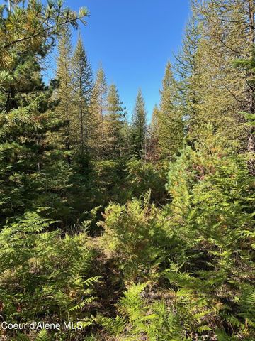 NKA Tract 6 USFS 2294, Clark Fork, ID 83811