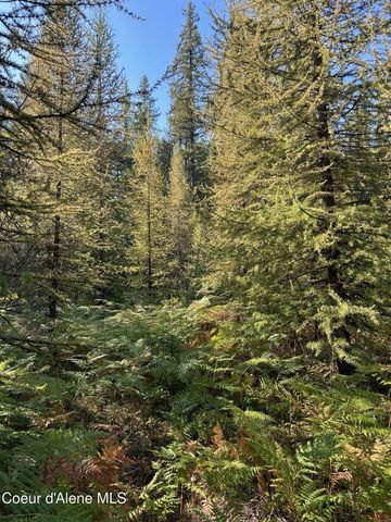 NKA Tract 6 USFS 2294, Clark Fork, ID 83811