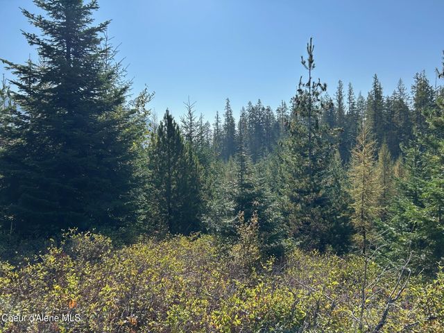 NKA Tract 6 USFS 2294, Clark Fork, ID 83811