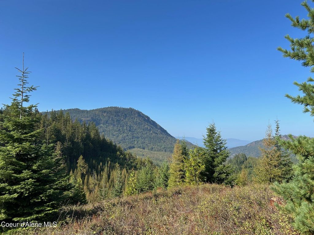 NKA Tract 6 USFS 2294, Clark Fork, ID 83811