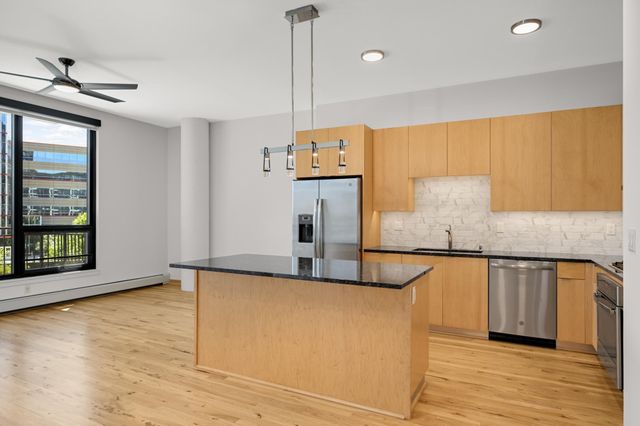 1240 S 2nd Street 311, Minneapolis, MN 55415