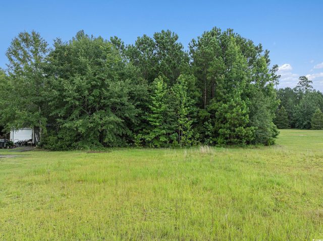 214 Cat Tail Bay Dr., Conway, SC 29527