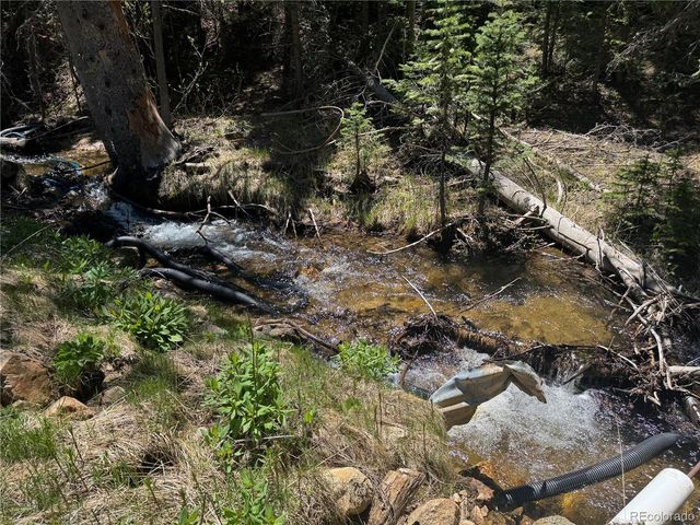 4568 Apex Valley Rd, Black Hawk, CO 80422