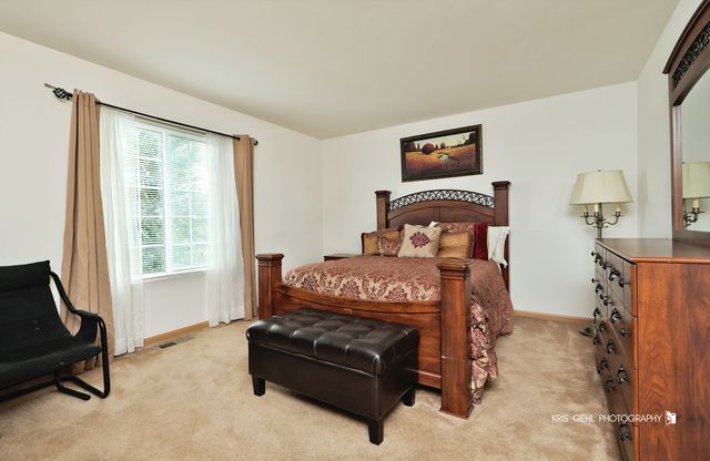 39843 Stoneywood Drive, Beach Park, IL 60083