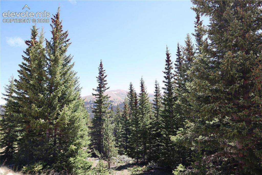 1480 Roberts Road, Fairplay, CO 80440 — exterior
