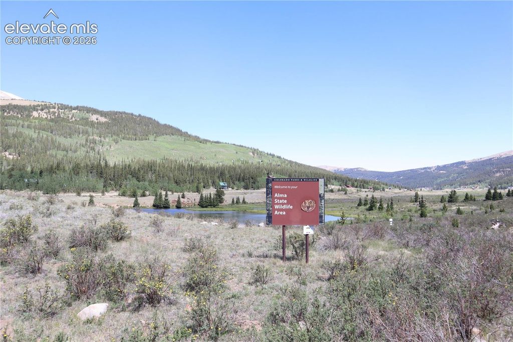 1480 Roberts Road, Fairplay, CO 80440 — photo 4