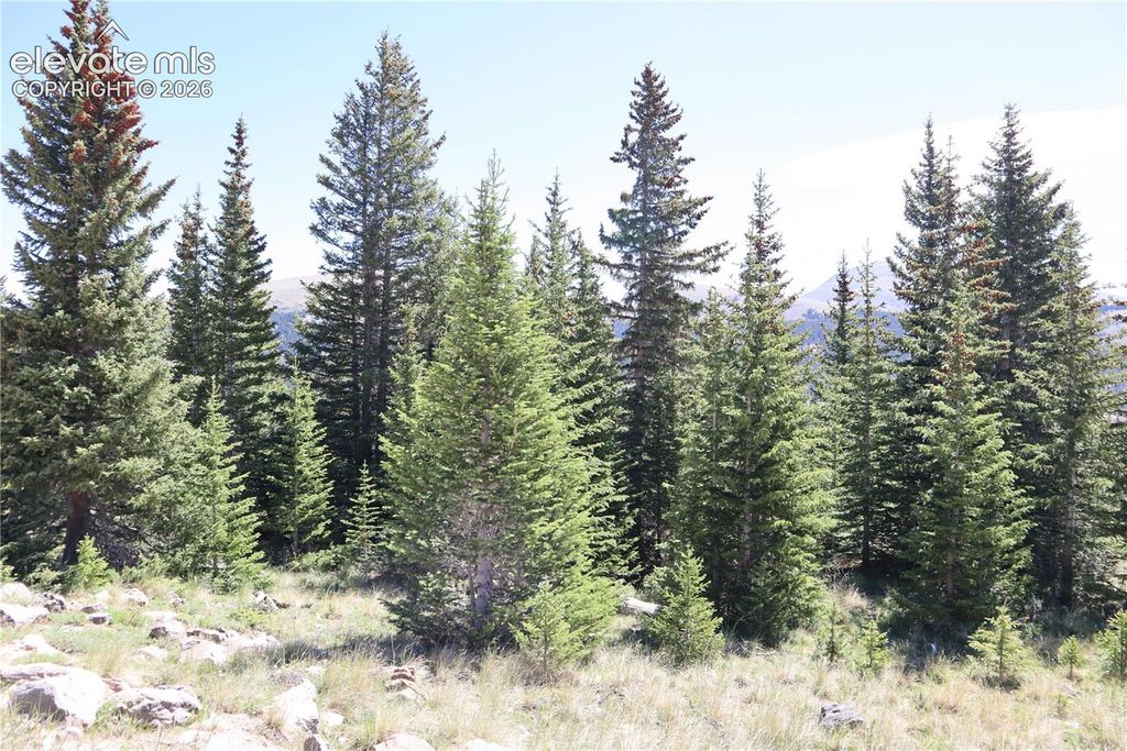 1480 Roberts Road, Fairplay, CO 80440 — photo 2