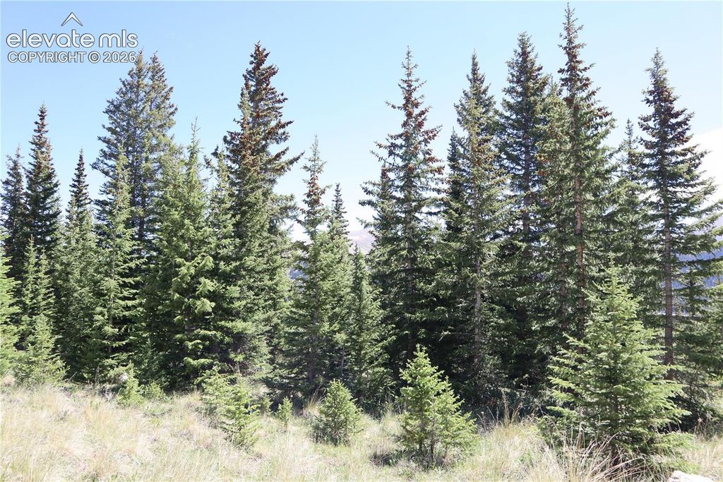 1480 Roberts Road, Fairplay, CO 80440 — photo 3