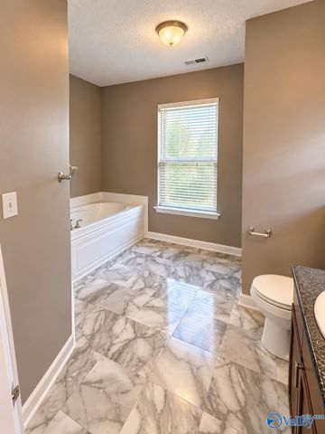409 Summer Cove Circle, Madison, AL 35758