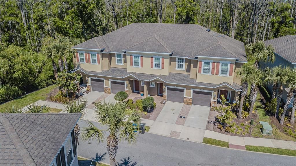 906 VINEYARD LANE, Oldsmar, FL 34677