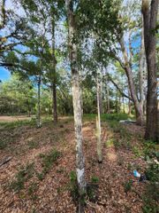VACANT LAND - PARCEL 16579-000-00 OFF 138TH AVE RD, Silver Springs, FL 34488