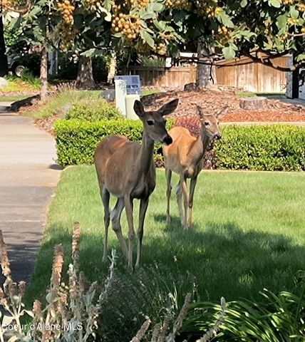 3756 N Sutters Way, Coeur D'alene, ID 83815
