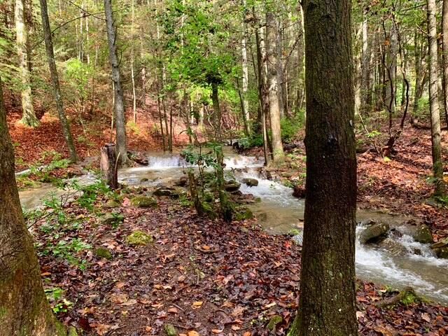 160 Tall Tree Trail, Dunlap, TN 37327