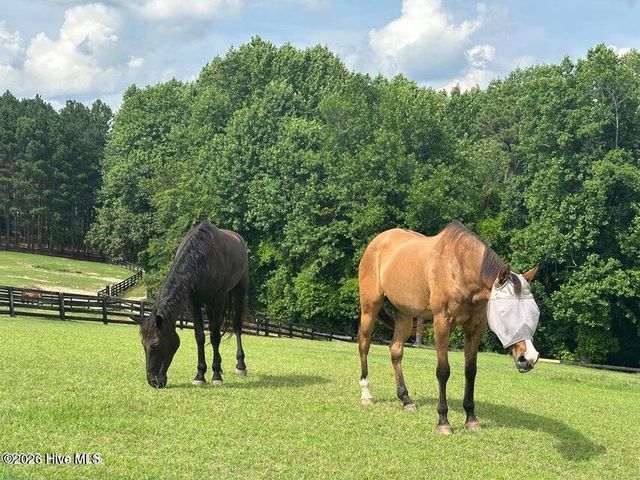 115 Rachels Point, West End, NC 27376