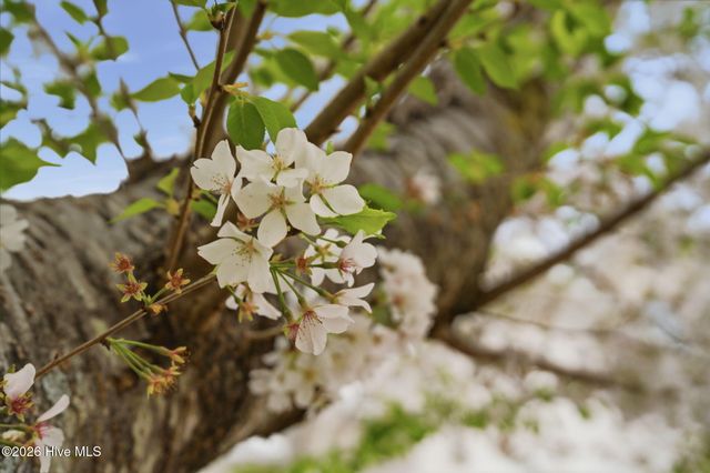 115 Rachels Point, West End, NC 27376