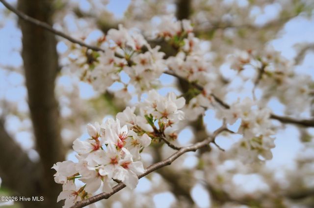 115 Rachels Point, West End, NC 27376