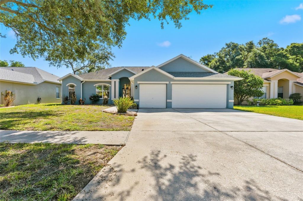 1115 LUMSDEN TRACE CIRCLE, Valrico, FL 33594