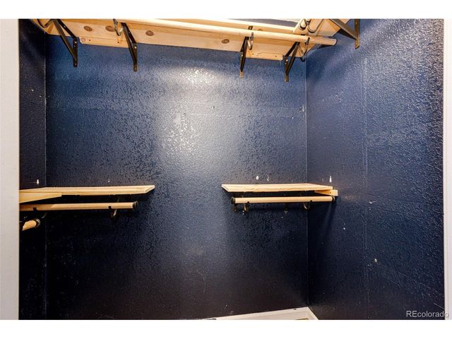 1482 Nemrick Pl, Castle Rock, CO 80109