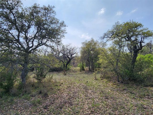 212 Oak Glen LN, Briggs, TX 78608