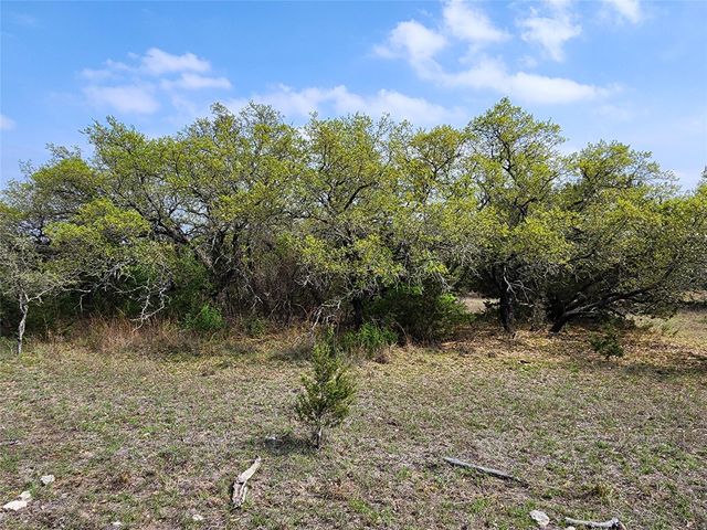 212 Oak Glen LN, Briggs, TX 78608