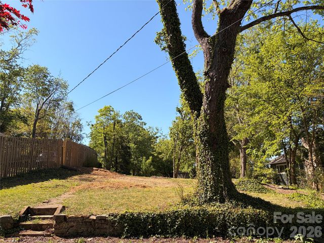 17 Irving Street, Asheville, NC 28803
