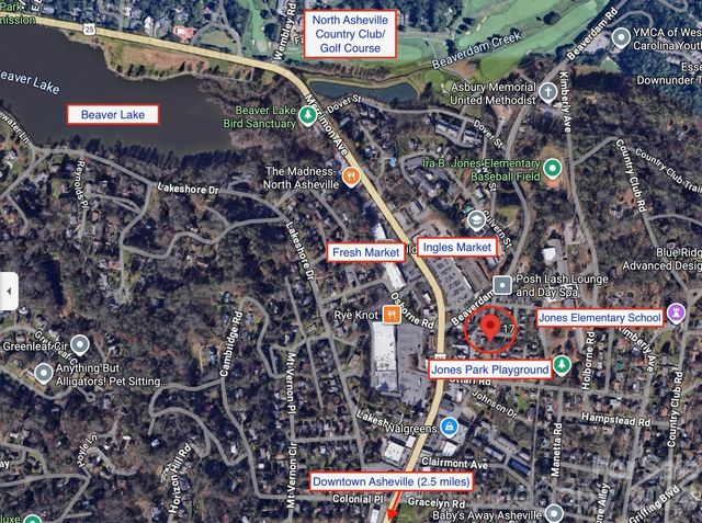 17 Irving Street, Asheville, NC 28803