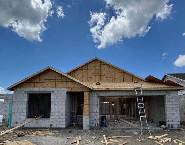 30241 RUSTIC MILL STREET, Mount Dora, FL 32757