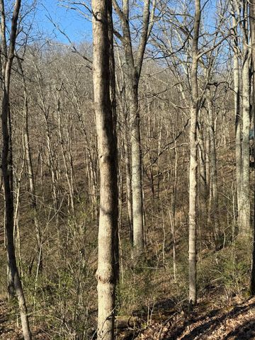 4695 Rabbit Hash Road, Union, KY 41091