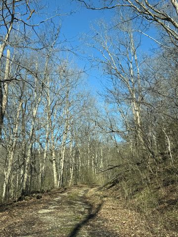 4695 Rabbit Hash Road, Union, KY 41091