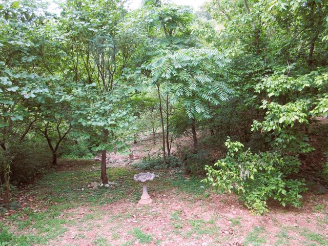 1203 Westwood Drive A & B, Branson, MO 65616