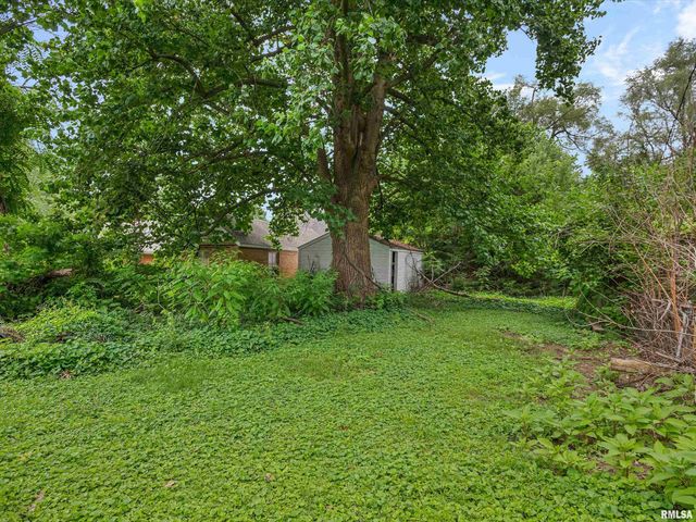609 Wood Avenue, Springfield, IL 62702