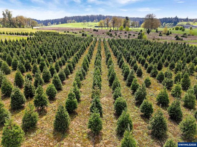 38591 Gilkey Rd, Scio, OR 97374