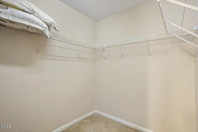 11126 Slider Drive, Raleigh, NC 27614