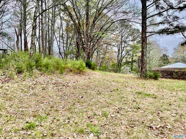 4810 Day Road, Hartselle, AL 35640