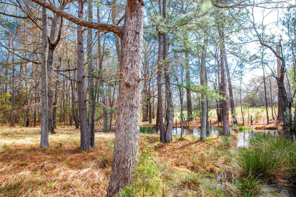 LOT 7 MISTLETOE RD, Appling, GA 30802
