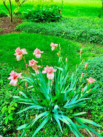 2361 Wilmington Road, Lebanon, OH 45036