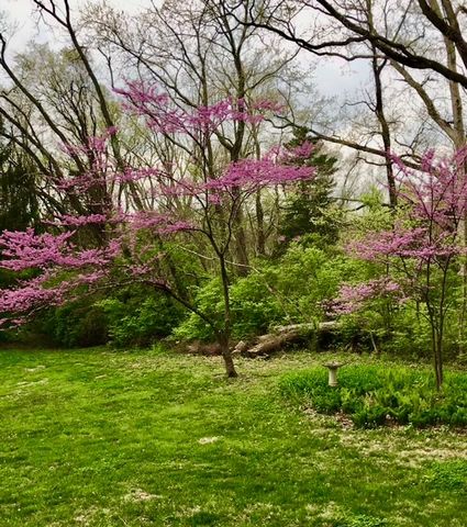 2361 Wilmington Road, Lebanon, OH 45036