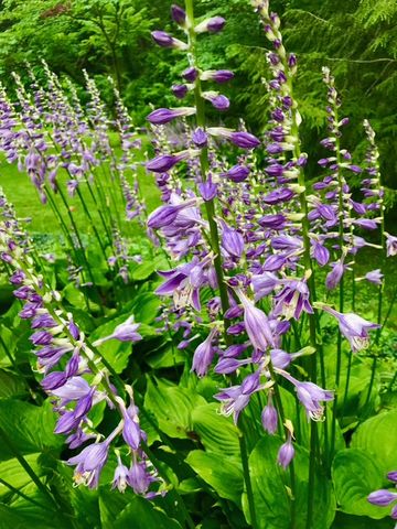 2361 Wilmington Road, Lebanon, OH 45036