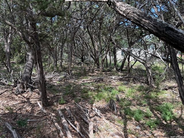 2424 Cypress Gardens Blvd, Spring Branch, TX 78070