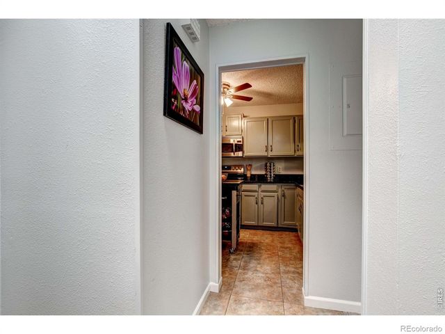 1050 S Saint Vrain Avenue 1, Estes Park, CO 80517