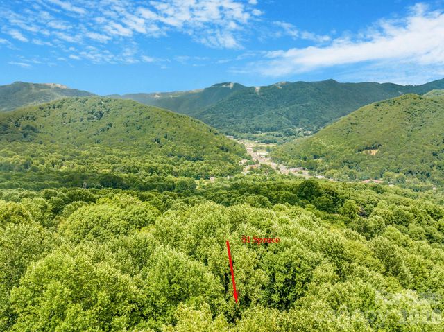 51 Spruce Street, Maggie Valley, NC 28751