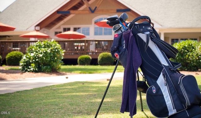 38 Brown Bear, Chapel Hill, NC 27517