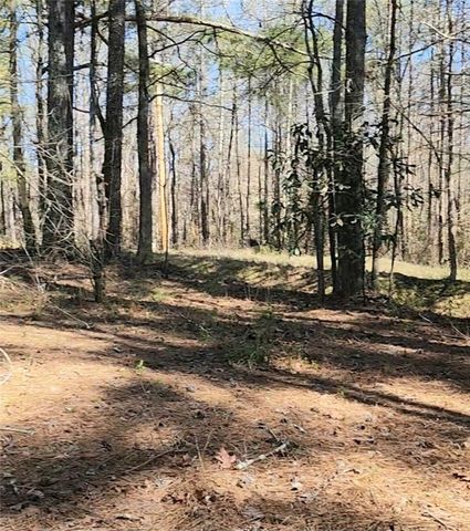 3274 Aaron Sosebee Road, Cumming, GA 30028