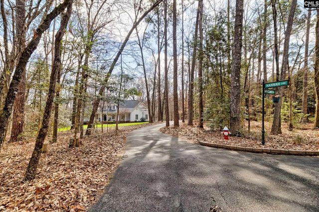 1943 Martin Road, Chapin, SC 29036
